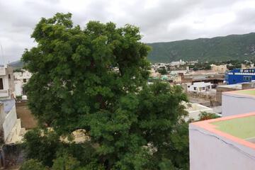 Photo 24