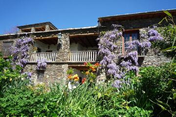Photo 44