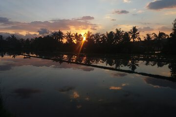 Land view from property
