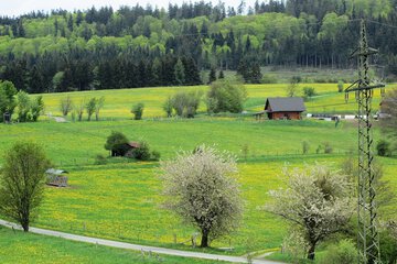 View from property