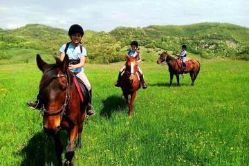 Horseback riding