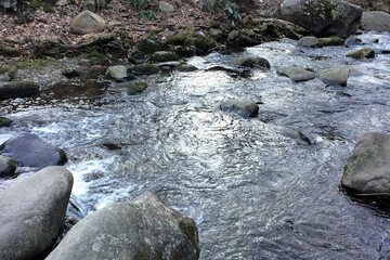 Property Grounds 97 of 100