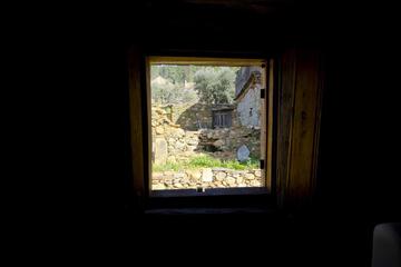 Photo 60