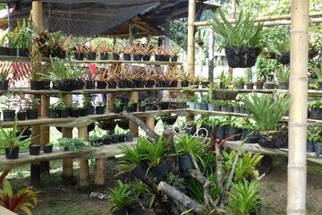 Photo 40