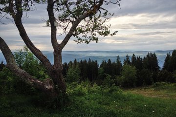 Hiking