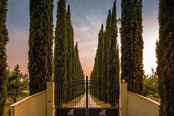 Winery