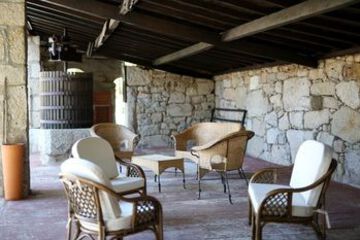 Terrace or Patio