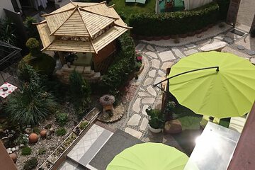 Garden view