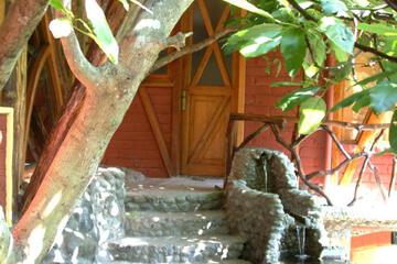 Photo 50