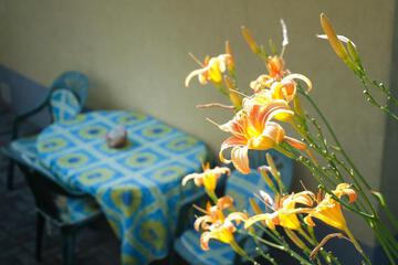 Photo 5