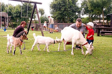 Children's activities