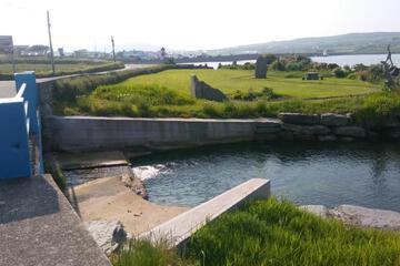 Photo 41