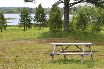 BBQ/picnic area