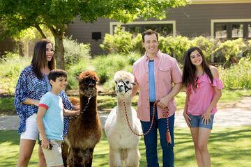 Children's activities