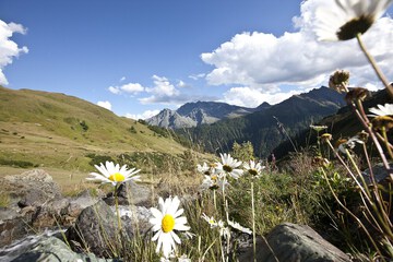 Hiking