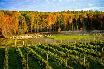 Winery