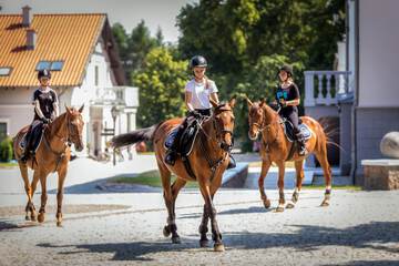 Horseback riding