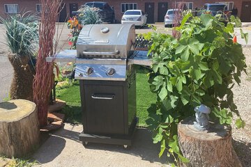 BBQ/picnic area