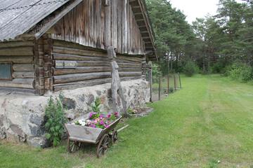 Photo 37