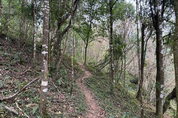 Hiking