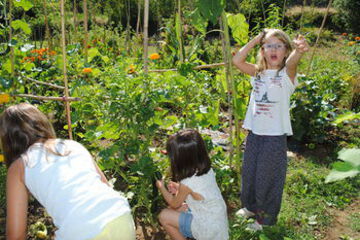 Childrens Activities
