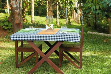 Couples dining