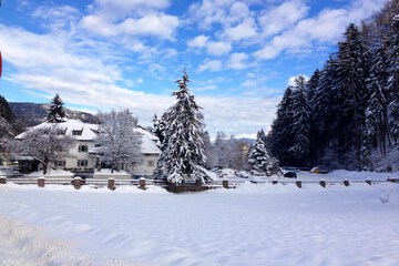 Snow and ski sports