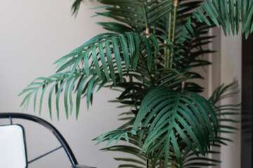 Terrace/Patio 91 of 97