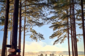 Lake view