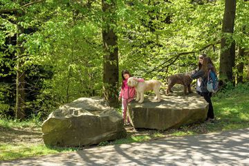Children's activities
