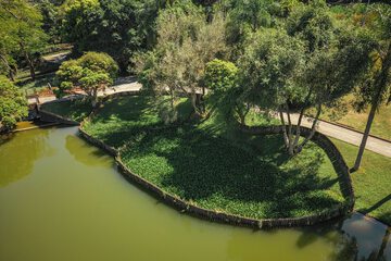 Lake view