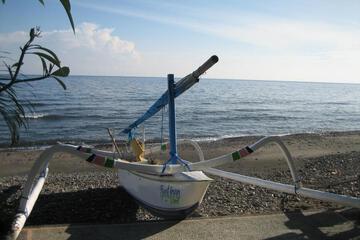 Photo 41