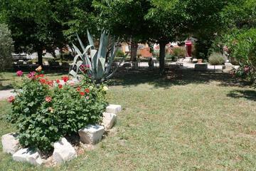 Photo 64