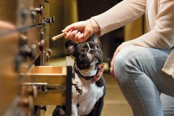 Pet-friendly amenities