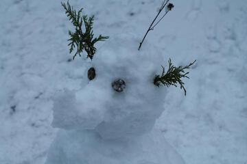 Photo 42