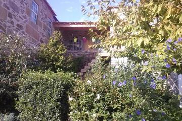 Photo 52