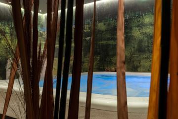 Indoor spa tub
