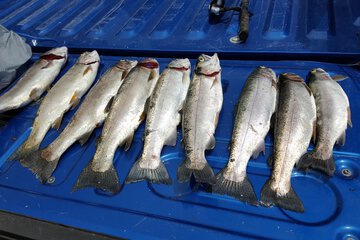 Fishing