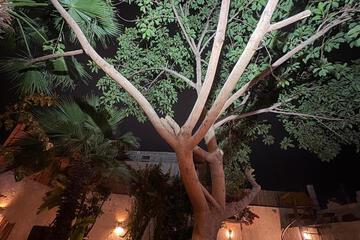 Photo 40