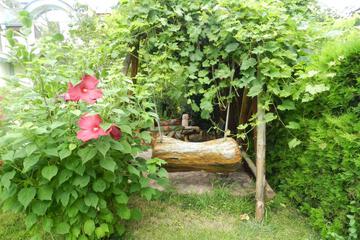 Photo 50