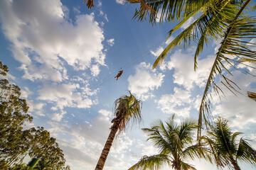 Ziplining