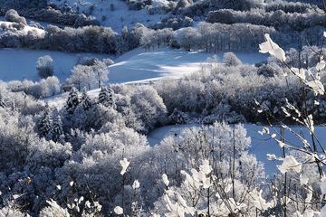 Snowshoeing