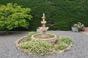 Photo 30