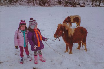 Horseback riding