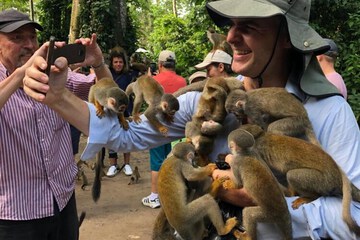 Game viewing