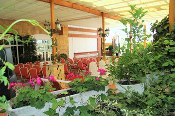 Outdoor wedding area