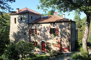 Photo 27