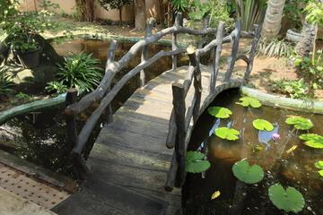 Photo 35