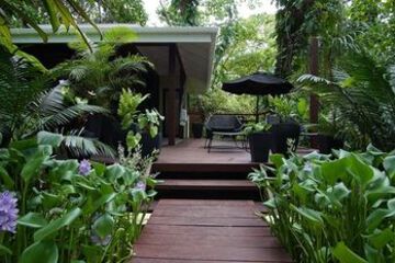 Terrace or Patio