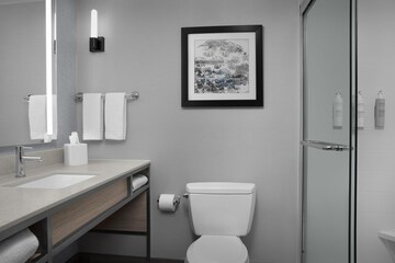 Bathroom shower
